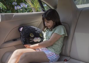 Black Cat Pillow with Soft Black Fleece Blanket for Travel