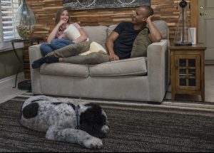 Natural Latex Roll Pillow