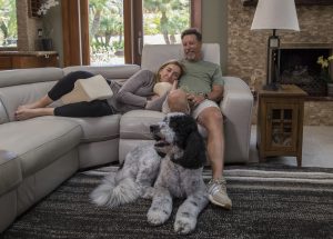 Knee Contour Pillow and Roll Pillow